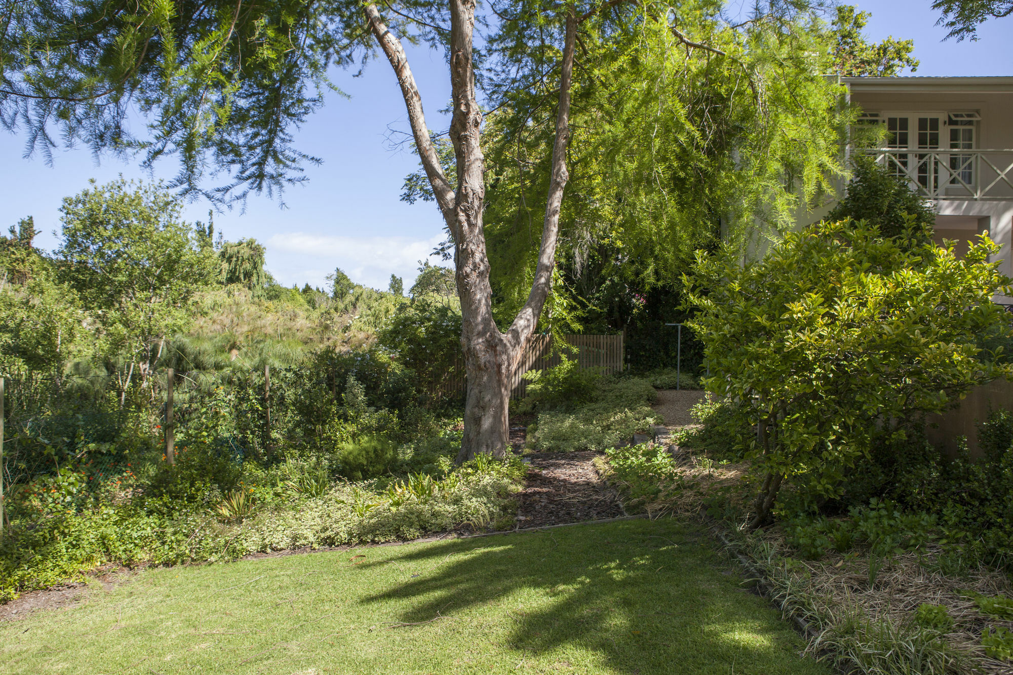 33 Strawberry Lane - Studio And Cottage 开普敦 外观 照片