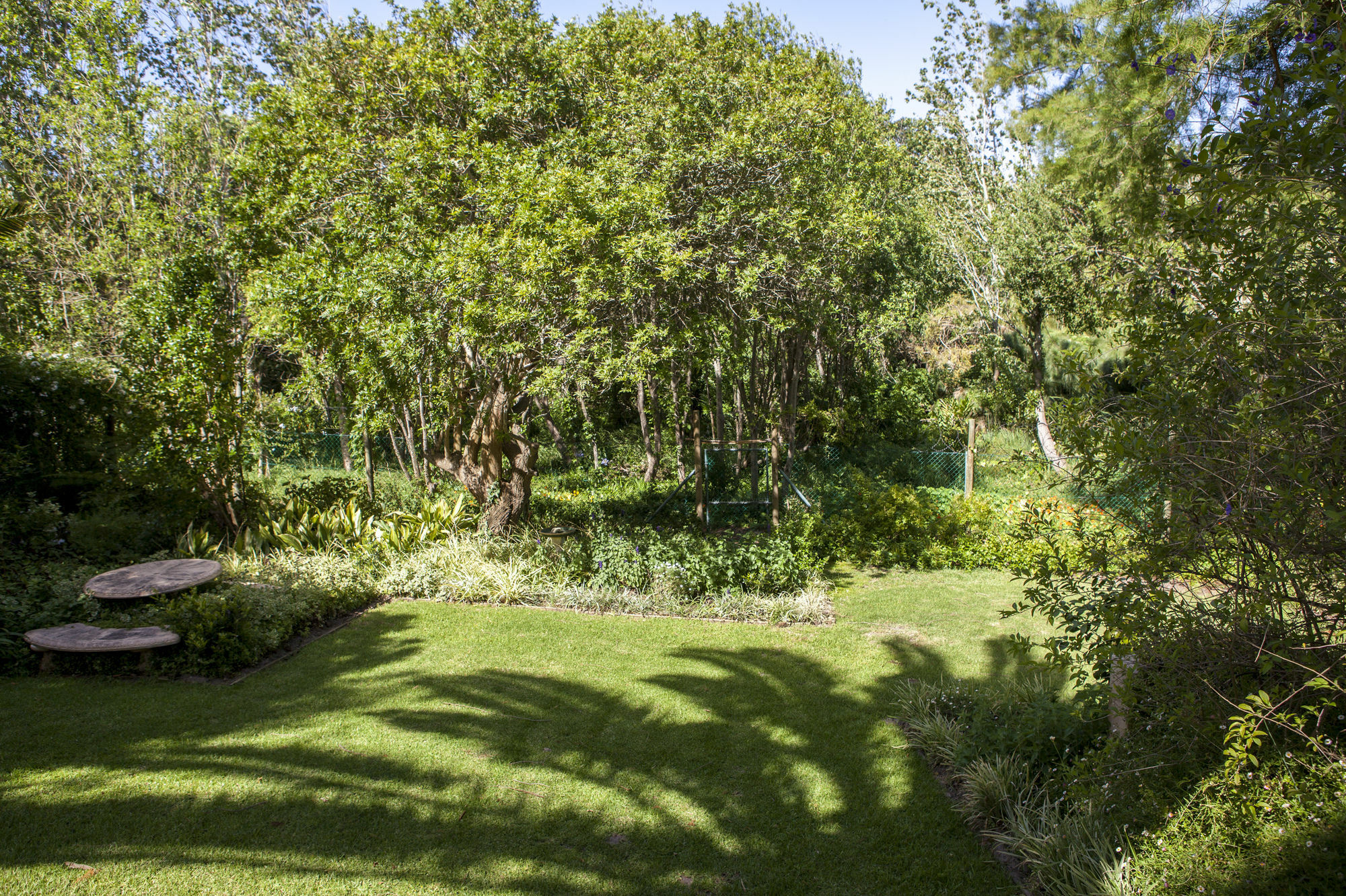 33 Strawberry Lane - Studio And Cottage 开普敦 外观 照片